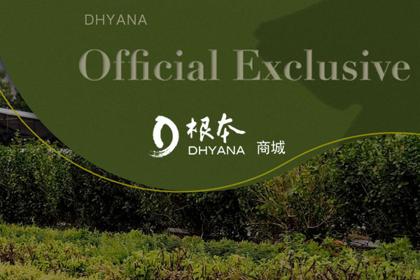 根本芳疗（精油商城网站建设）