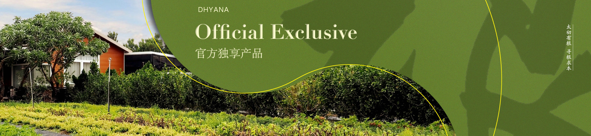 根本芳疗（精油商城网站建设）